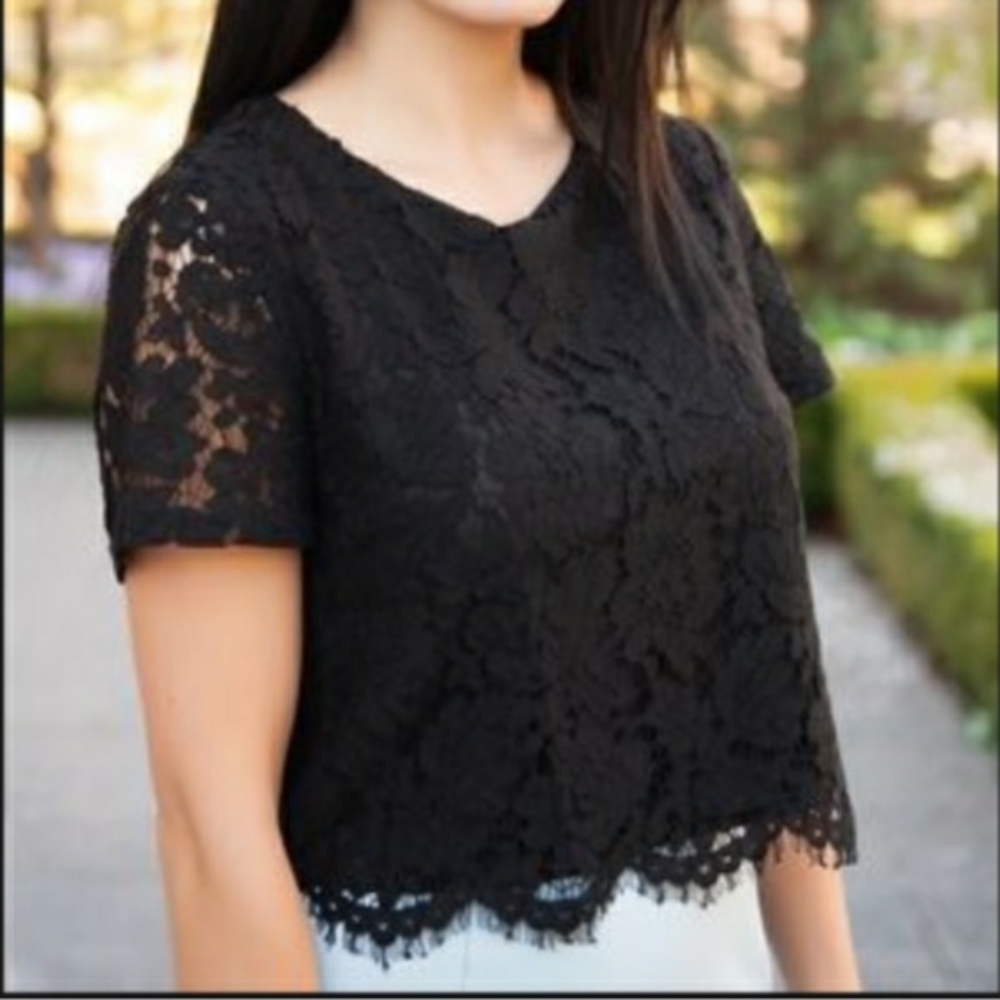 Lace Crop Top